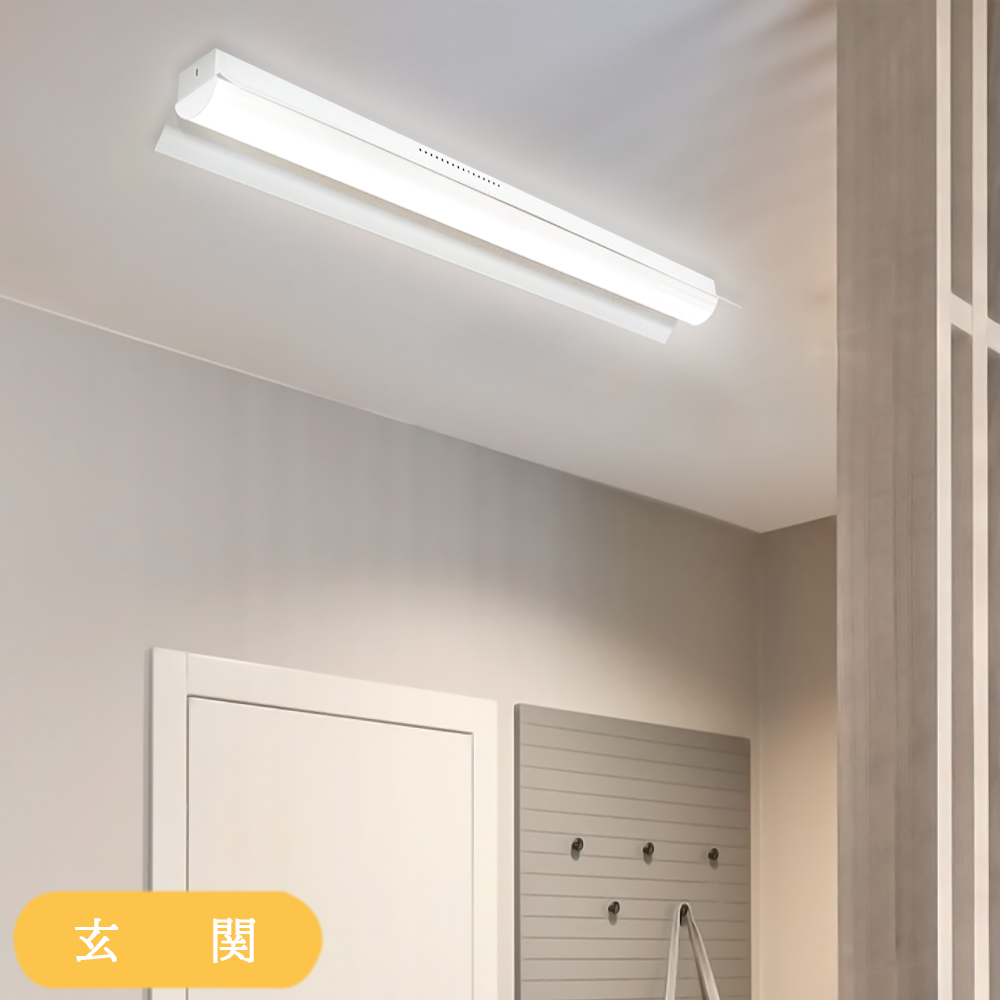 LEDベースライト 20W形 40W形 笠付トラフ型高輝度 3120lm 5380lm 器具