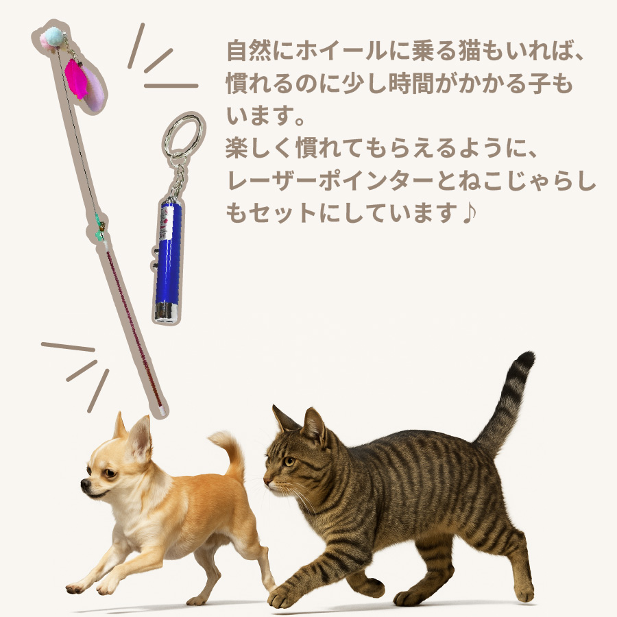 キャットローラー 運動不足 キャットホイール 猫 ペット ダイエットグレー 犬 後藤家具 ペット用 ランニングホイール キャットホイール 猫 小型犬