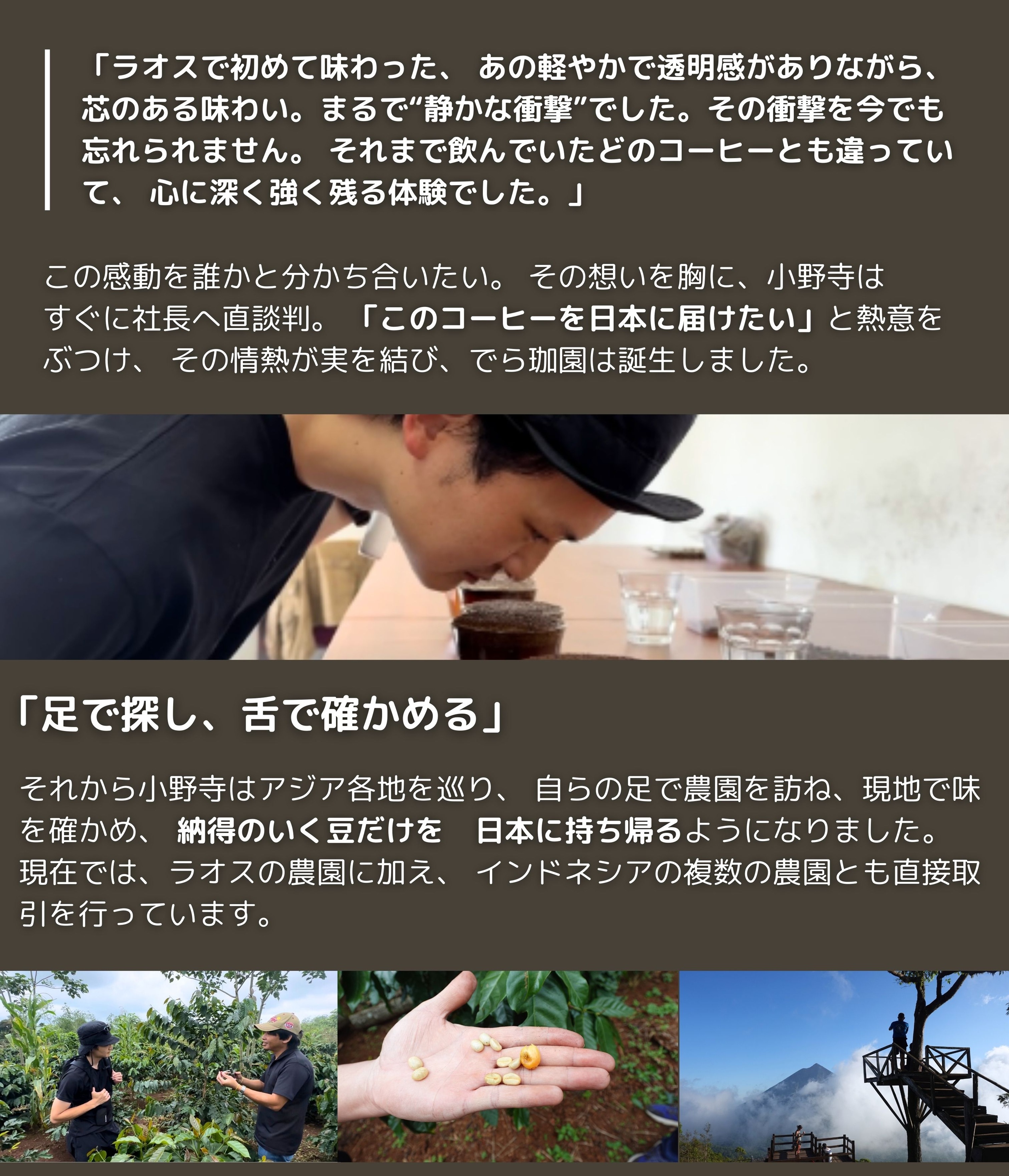 【コーヒー生豆】マンデリンG1 5kg　 ※送料無料！ コーヒー生豆 マンデリンG1 5kg 送料無料 インドネシア産 ジェームス