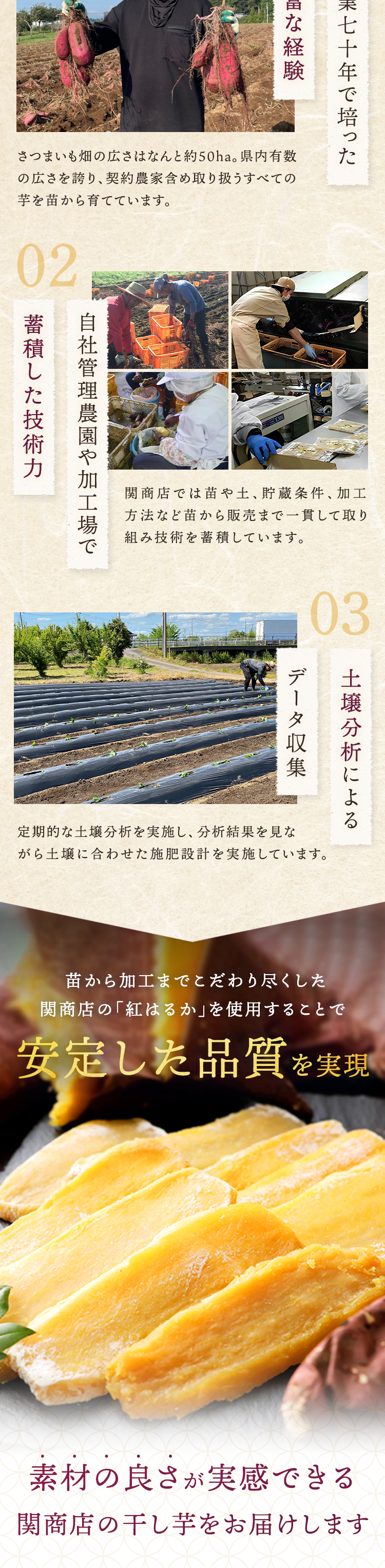 干し芋