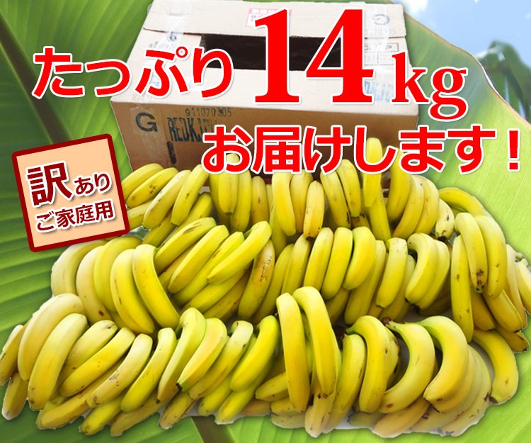 フィリピン産バナナたっぷり14kg