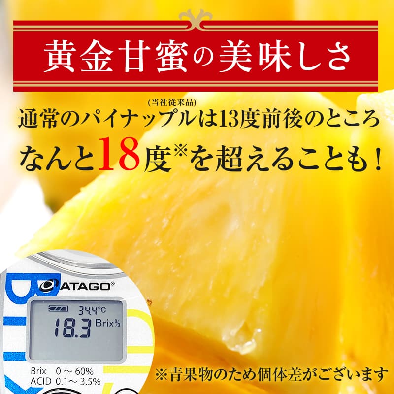 通常のパイナップルは13度前後のところ なんと18度を超えることも！