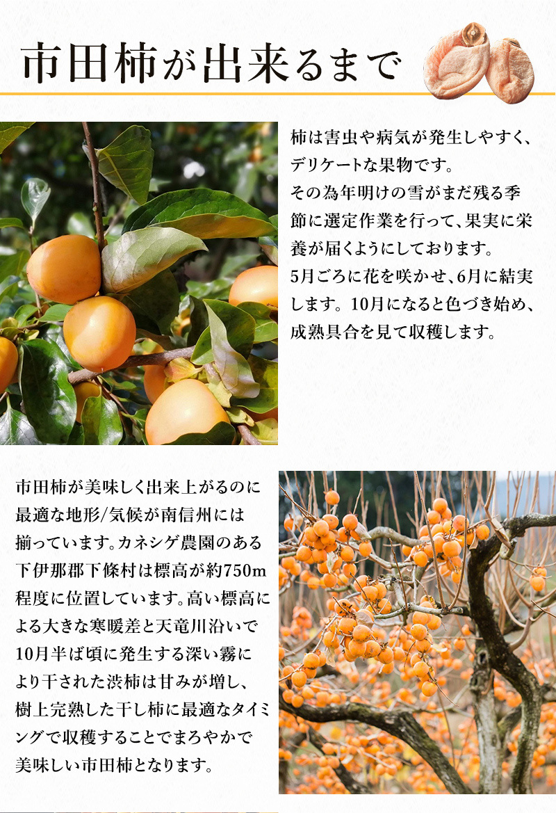干し柿