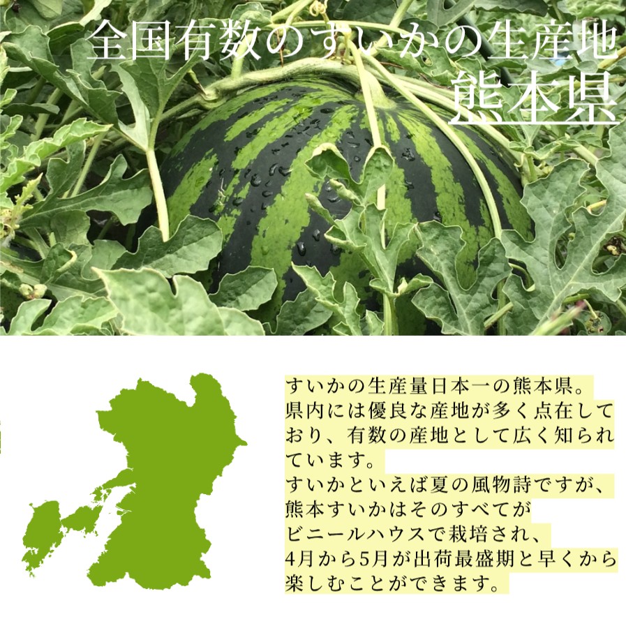 熊本県産訳ありスイカ