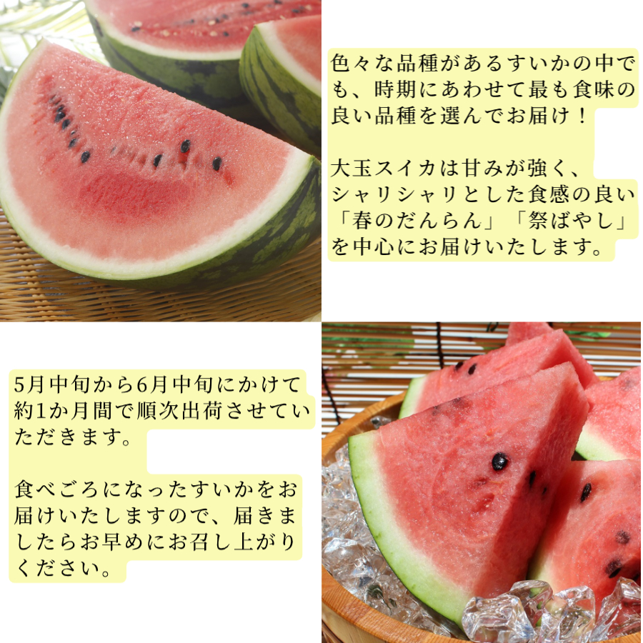 熊本県産訳ありスイカ