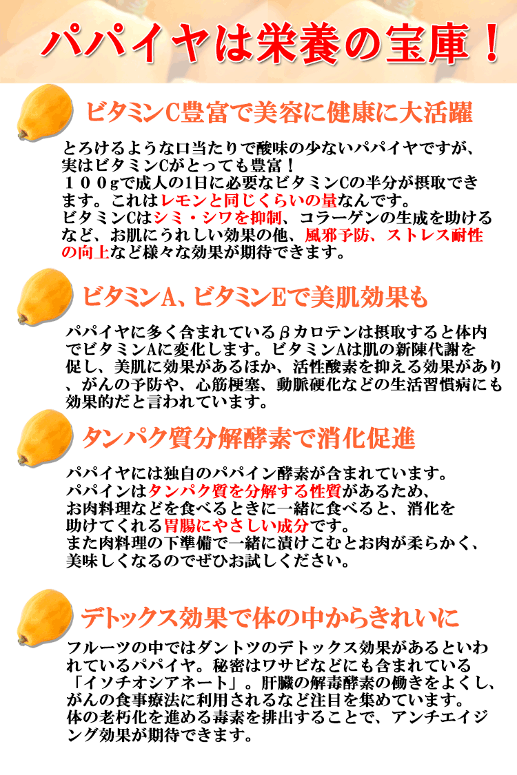 パパイヤの栄養