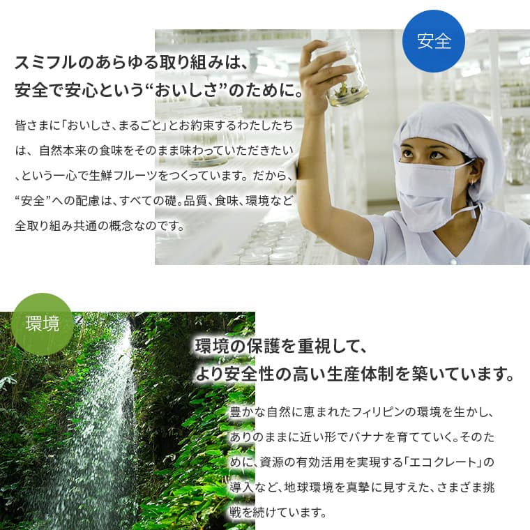 安全で安心