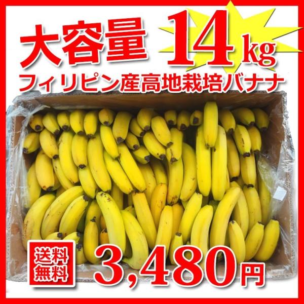 バナナ 業務用 訳あり 甘熟王 約15kg 約85本 フィリピン産 スミフル :BHLCL13:バナナのスミフルYahoo!店 - 通販 - Yahoo!ショッピング バナナ 業務用 訳あり 甘熟王 約15kg 約85本 フィリピン産 スミフル :BHLCL13:バナナのスミフルYahoo!店 - 通販 - Yahoo!ショッピング