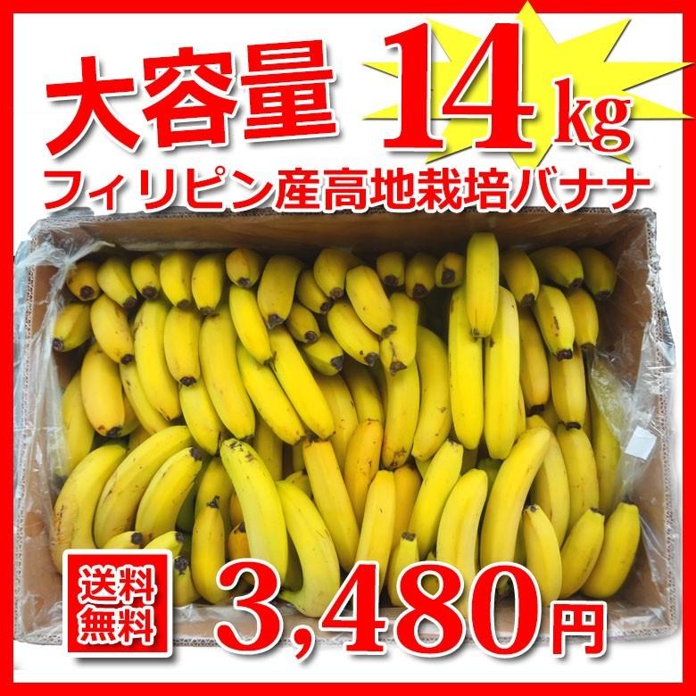 バナナ 業務用 訳あり 甘熟王 約15kg フィリピン産 スミフル : bhlcl13