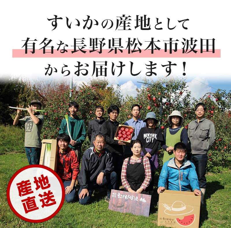 すいかの産地として 有名な長野県松本市波田 からお届けします！