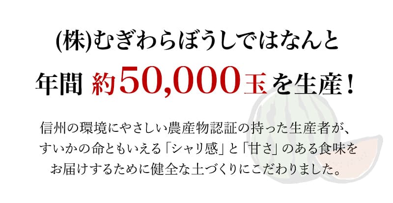 (株)むぎわらぼうしではなんと 年間 約50,000玉を生産！