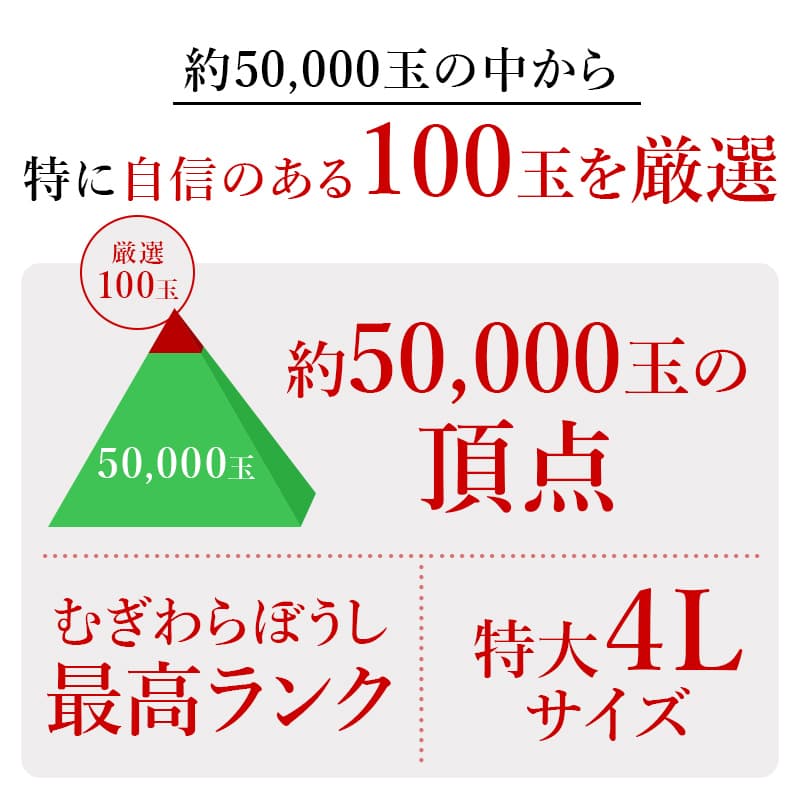 特選スイカ 約50,000玉の中から 特に自信のある100玉を厳選