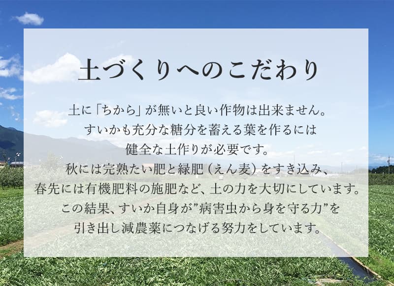 土づくりへのこだわり