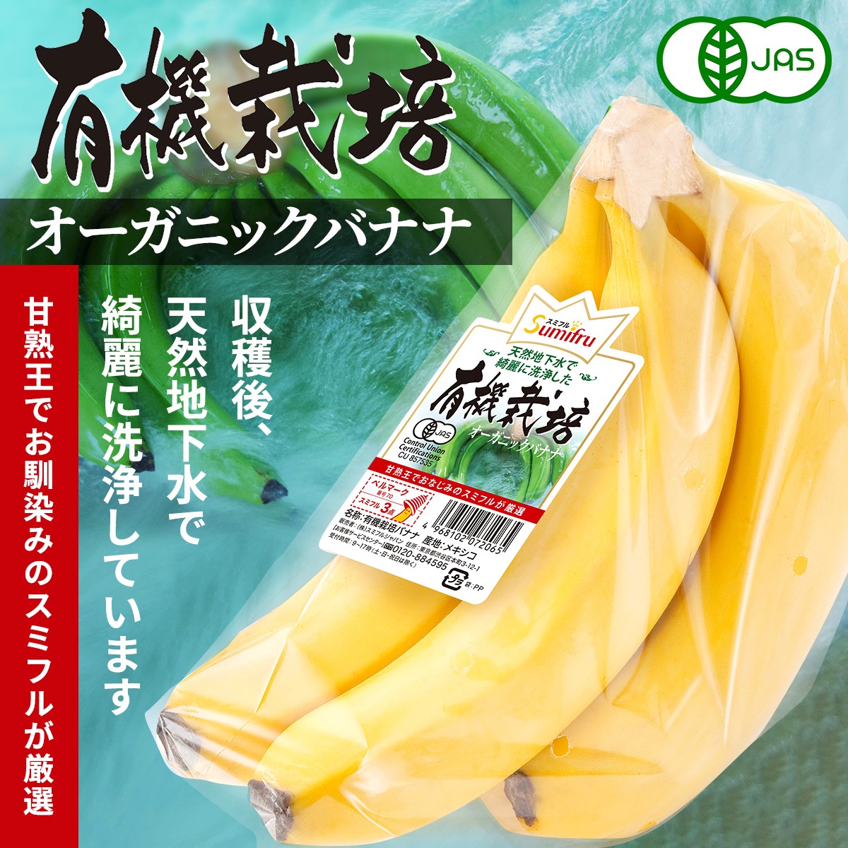 有機栽培バナナ メキシコ産