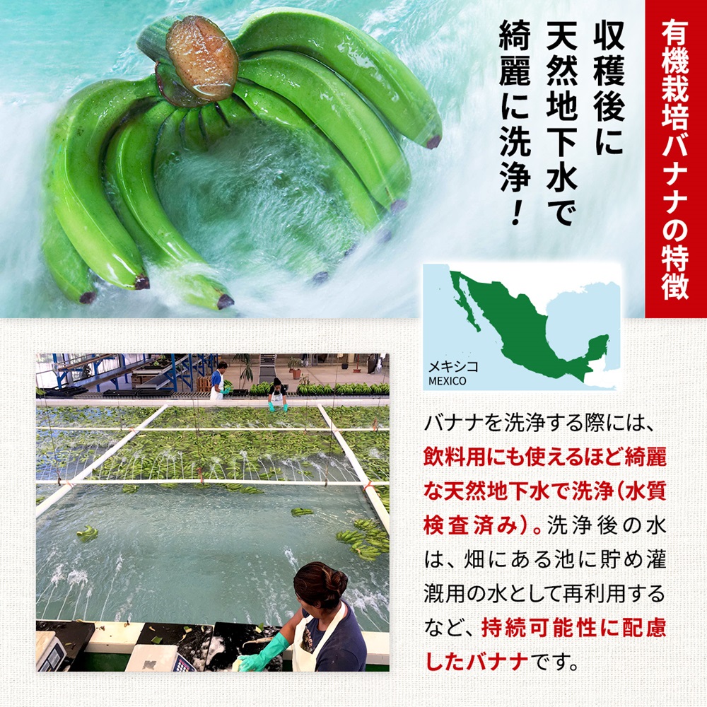 有機栽培バナナ メキシコ産