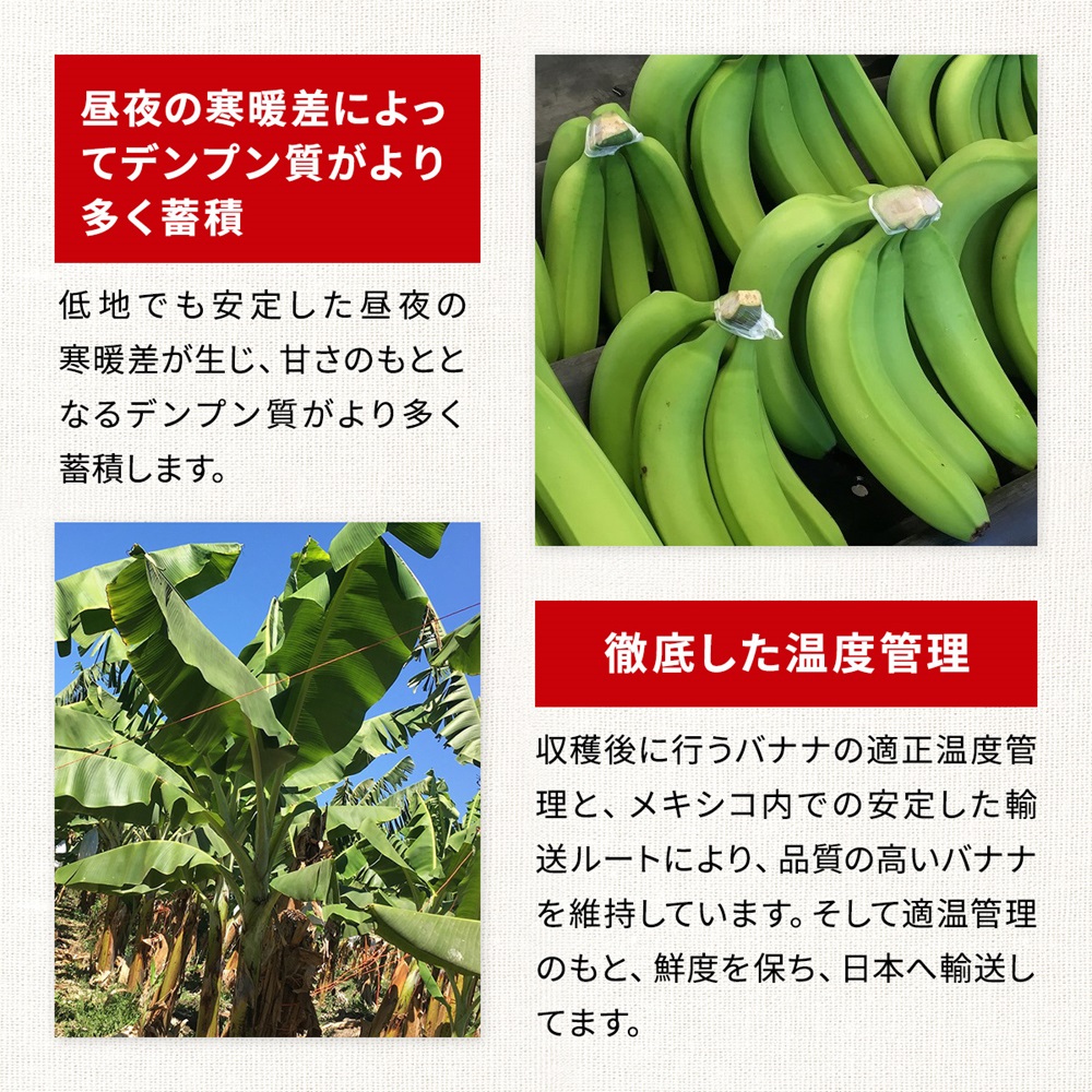 有機栽培バナナ メキシコ産