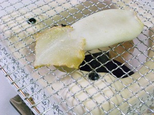 白いかのお召し上がり方