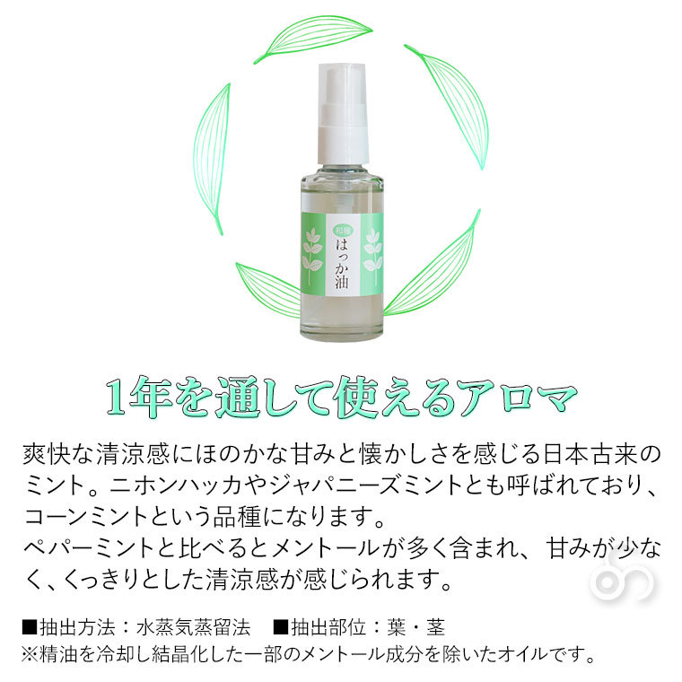 和種はっか油スプレー 50ｍl 05673