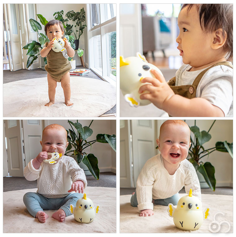 タイガートライブ Tiger Tribe おきあがりこぼし ころりんインコちゃん 1-1011 知育玩具 おもちゃ 知育 モンテッソーリ 出産祝い ベビー 赤ちゃん 1歳 