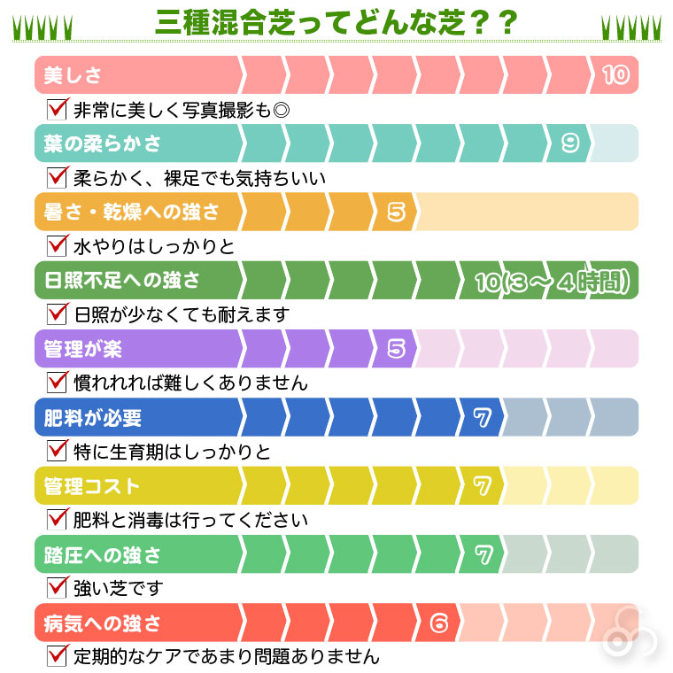 三種混合芝ってどんな芝？