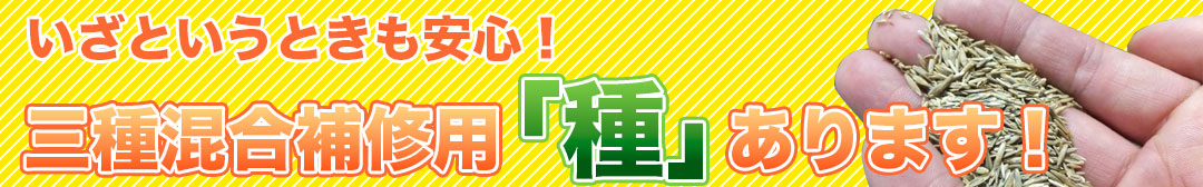 三種混合補修用「種」あります！