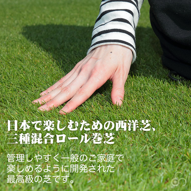 日本で楽しむための西洋芝、三種混合ロール巻芝。管理しやすく一般のご家庭で楽しめるように開発された最高級の芝です。
