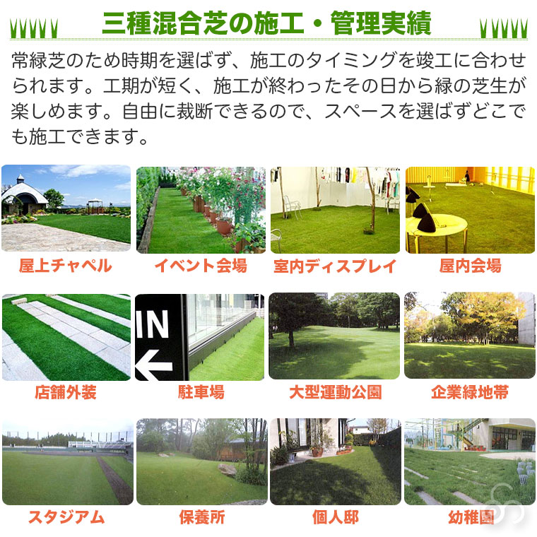 三種混合芝の施工・管理実績　常緑芝のため時期を選ばず、施工のタイミングを竣工に合わせられます。施工が終わったその日から緑の芝生を楽しめます。自由に祭壇できるので、スペースを選ばずどこでも施工できます。