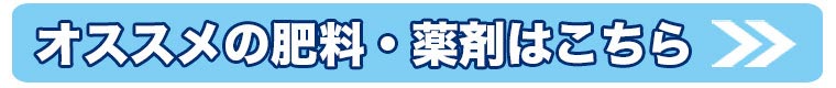 オススメの肥料・薬剤はこちら