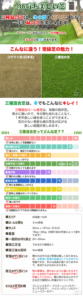 芝生 天然芝 三種混合ロール巻芝 芝生 通販 サンワショッピング 通販 Paypayモール