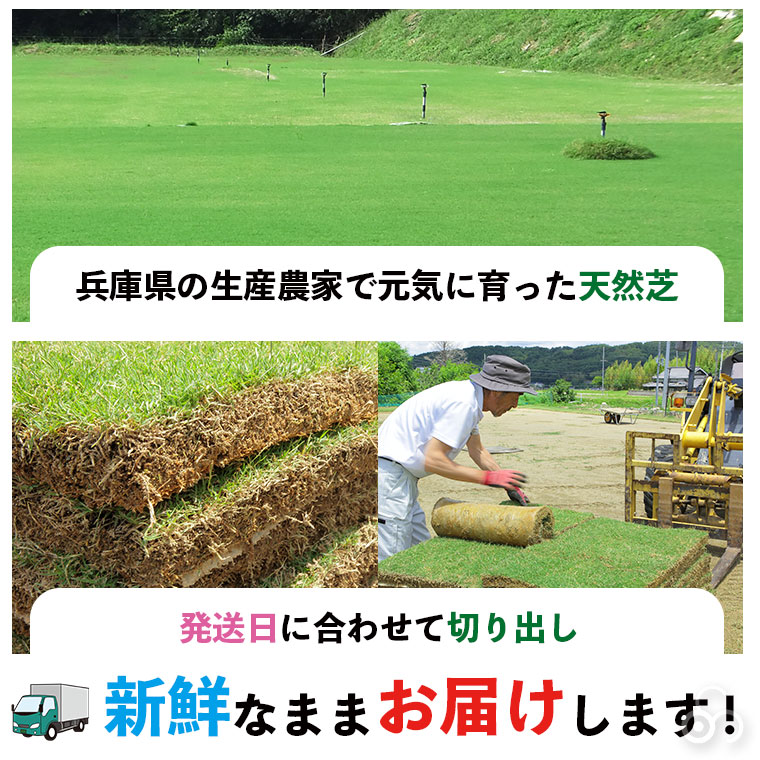 発送日に切り出し、新鮮なままお届け