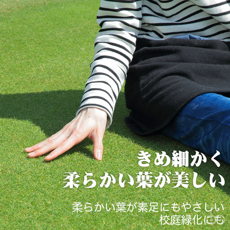 芝生 天然芝 ティフトン芝 ロール巻芝 (芝生 通販) 関連画像4