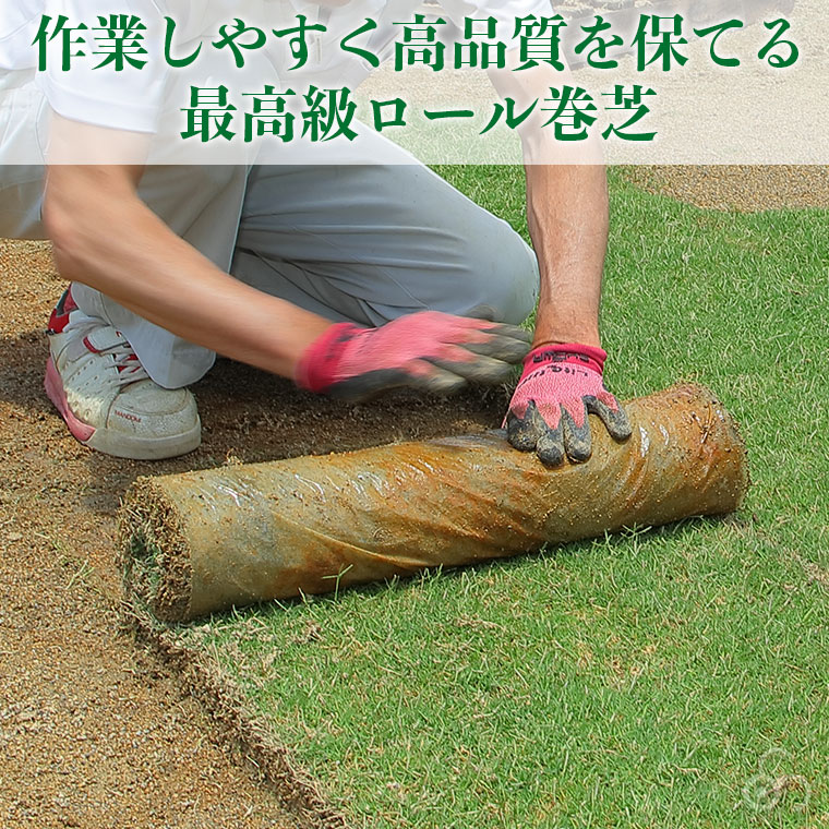 芝生 天然芝 ティフトン芝 ロール巻芝 (芝生 通販) 関連画像5