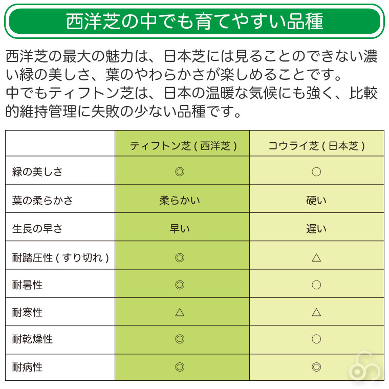 踏圧性に優れたスポーツターフ