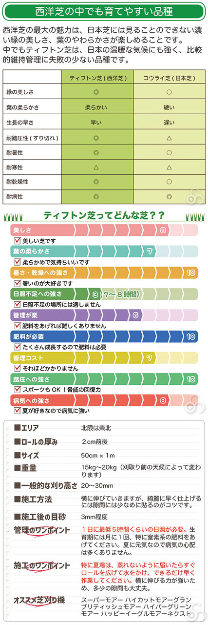 西洋芝の中でも育てやすい品種