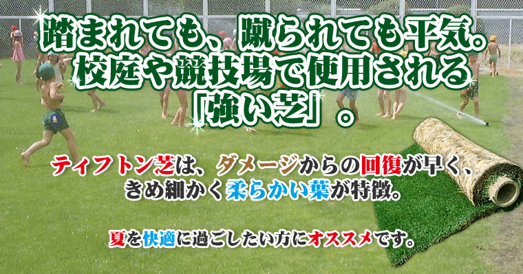 365日、美しい芝　三種混合芝は、冬の間も枯れることなく１年中緑の芝を楽しめます。オフシーズンがないので、１年中施工OK。美しさにも自信があります。