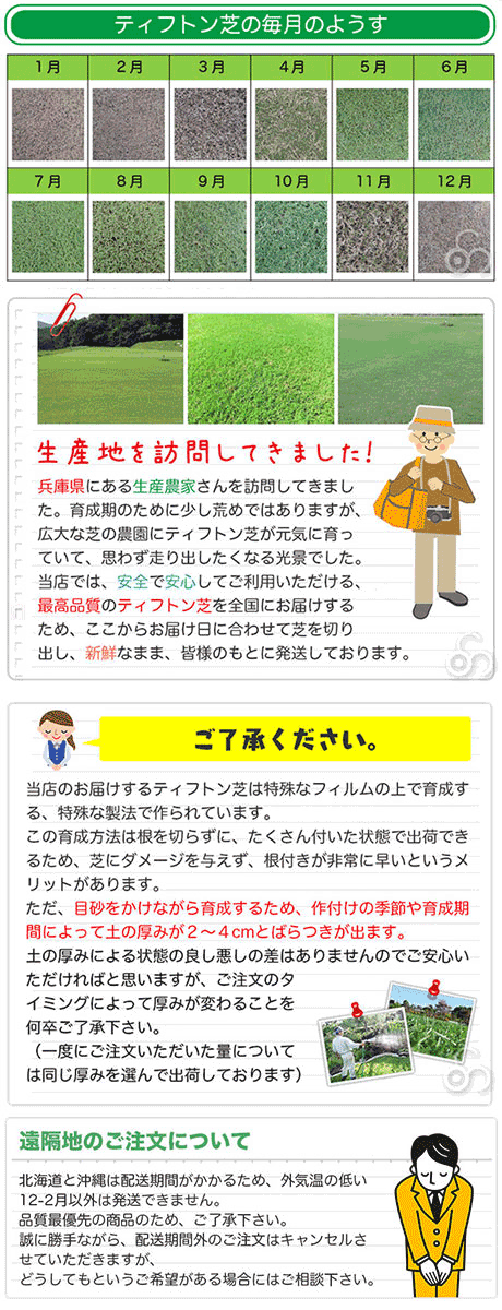 まれても、蹴られても平気。校庭や競技場で使用される強い芝。