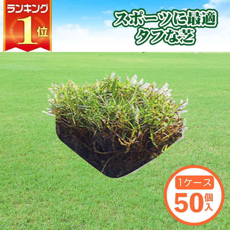 ティフトン芝生　100苗（5×5トレー4つ） gf3-01-100.jpg?fitin=272:272