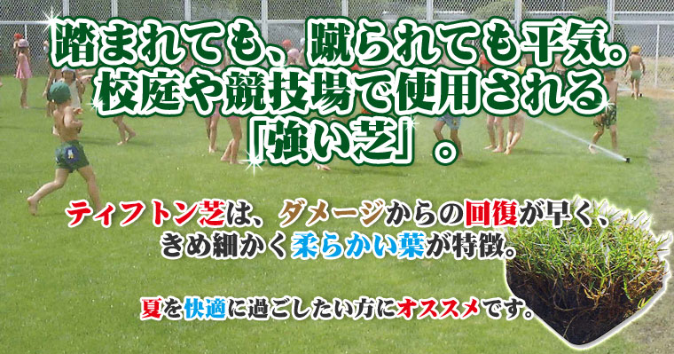 365日、美しい芝　三種混合芝は、冬の間も枯れることなく１年中緑の芝を楽しめます。オフシーズンがないので、１年中施工OK。美しさにも自信があります。