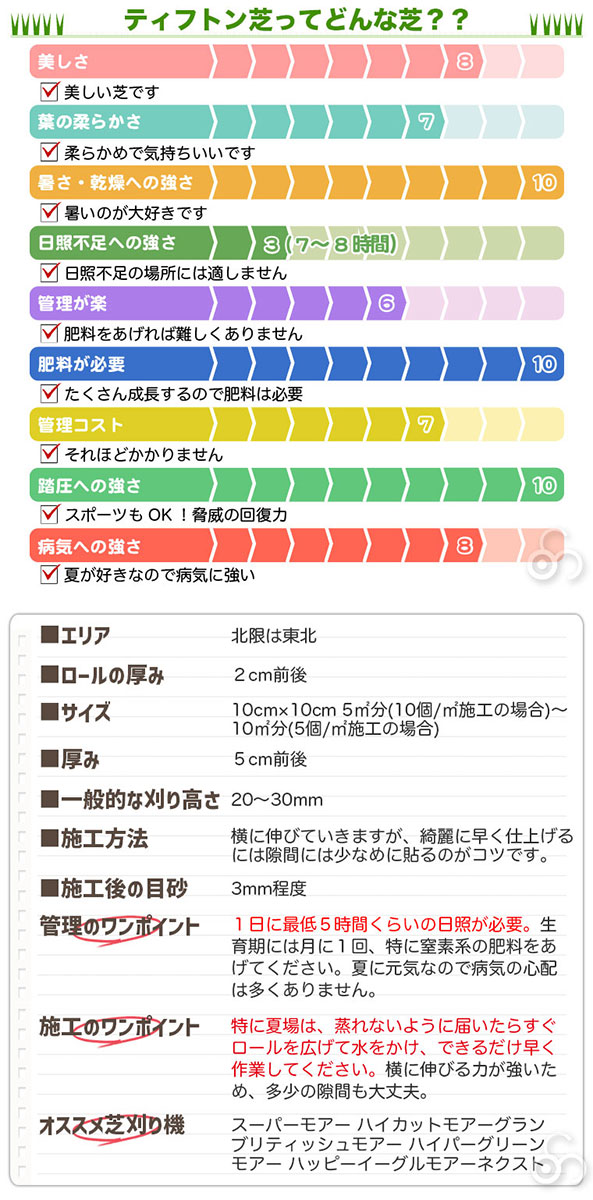 まれても、蹴られても平気。校庭や競技場で使用される強い芝。