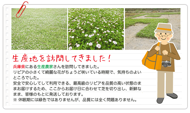 生産地を訪問してきました！兵庫県にある生産農家を訪問してきました。品質の高い状態のままお届けするため、ここからお届け日に合わせて芝を切り出し、新鮮なまま皆様のもとに発送しております。