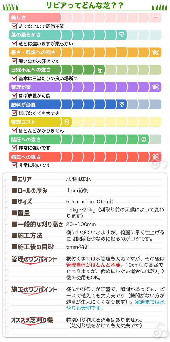 花マット リピア ヒメイワダレソウ ロール