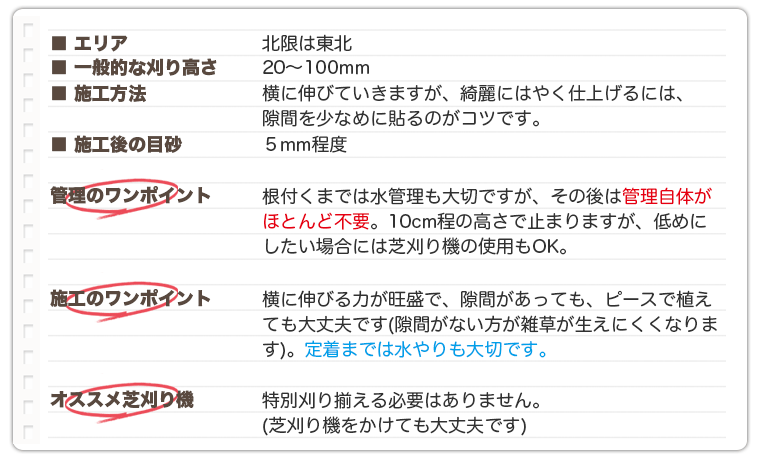 根付くまでは水管理も大切ですが、その後は管理自体が殆ど不要。横に伸びる力が旺盛で、隙間があってもピースで植えても大丈夫。