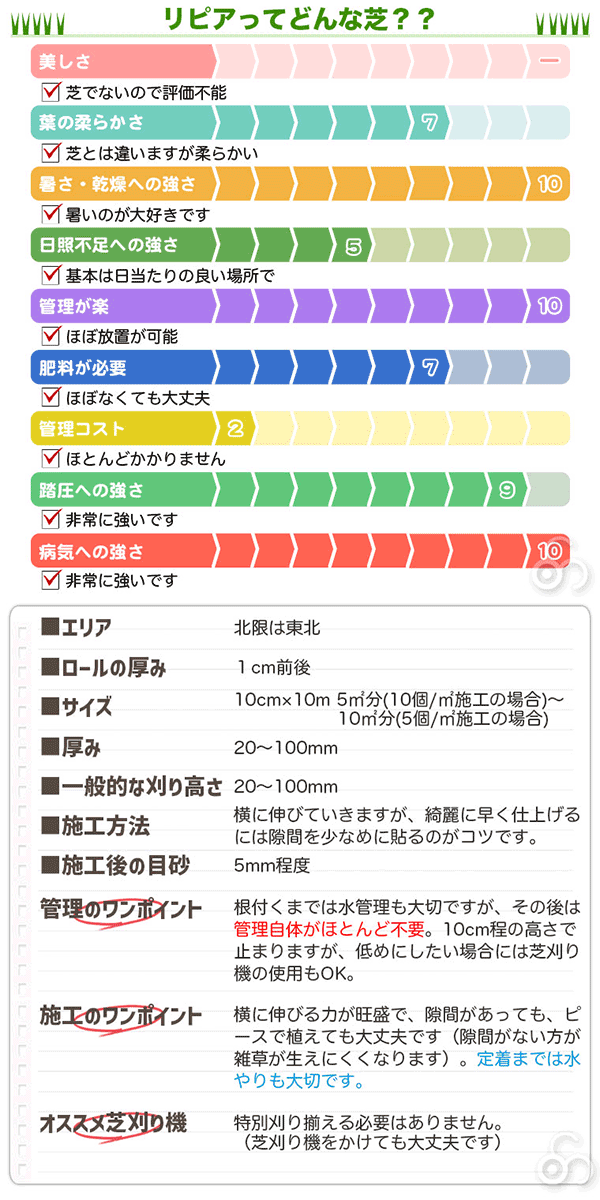 花マット リピア ヒメイワダレソウ ピース