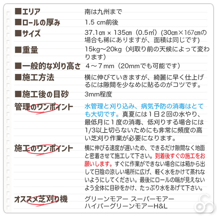 ティフトン芝ってどんな芝？？