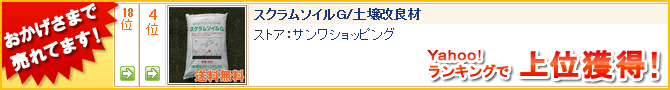 おかげさまで売れてます！Yahoo!ランキングで上位獲得！