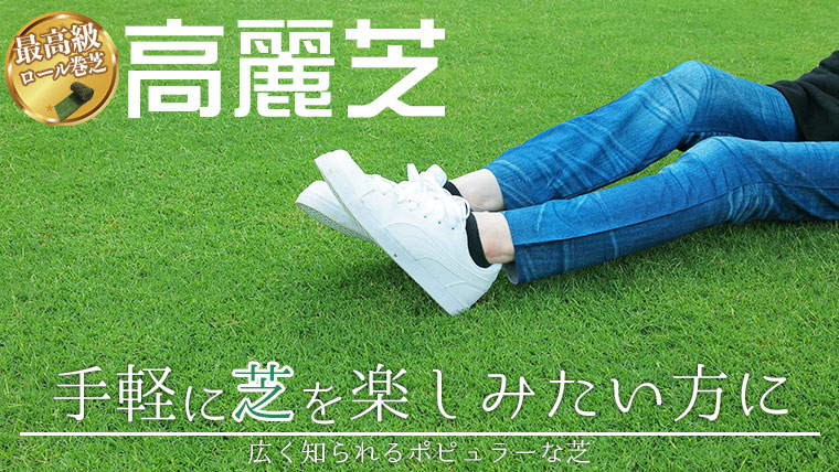 手軽に芝を楽しみたい方に。高麗芝は、日本で広く使用されるポピュラーな芝生。ゴルフ場のフェアウェイや公園の緑化用に用いられています。