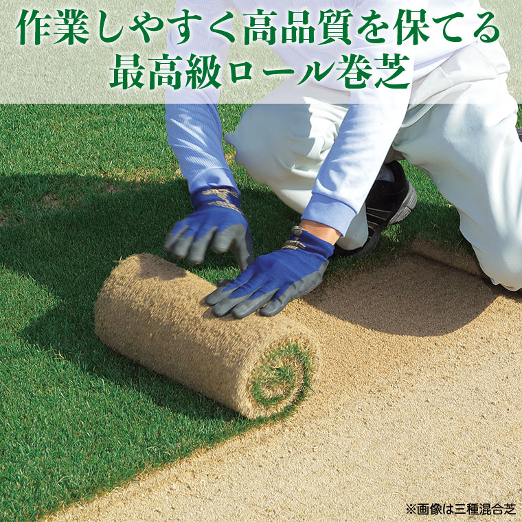 芝生 天然芝 野芝(ノシバ) ロール巻 (芝生 通販) 関連画像4
