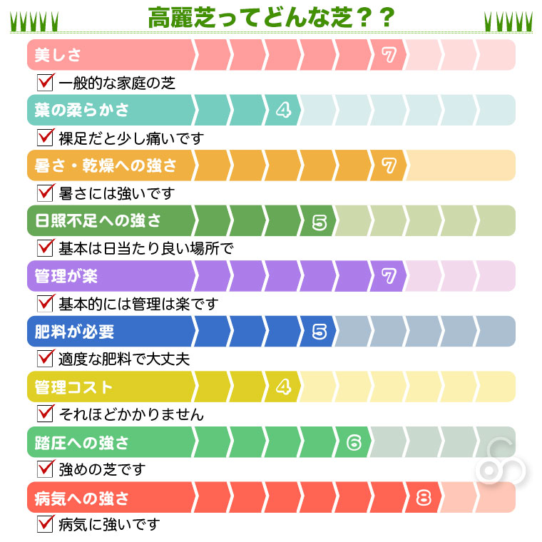 高麗芝ってどんな芝？