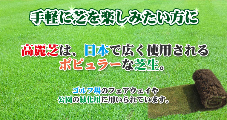 手軽に芝を楽しみたい方に。高麗芝は、日本で広く使用されるポピュラーな芝生。ゴルフ場のフェアウェイや公園の緑化用に用いられています。