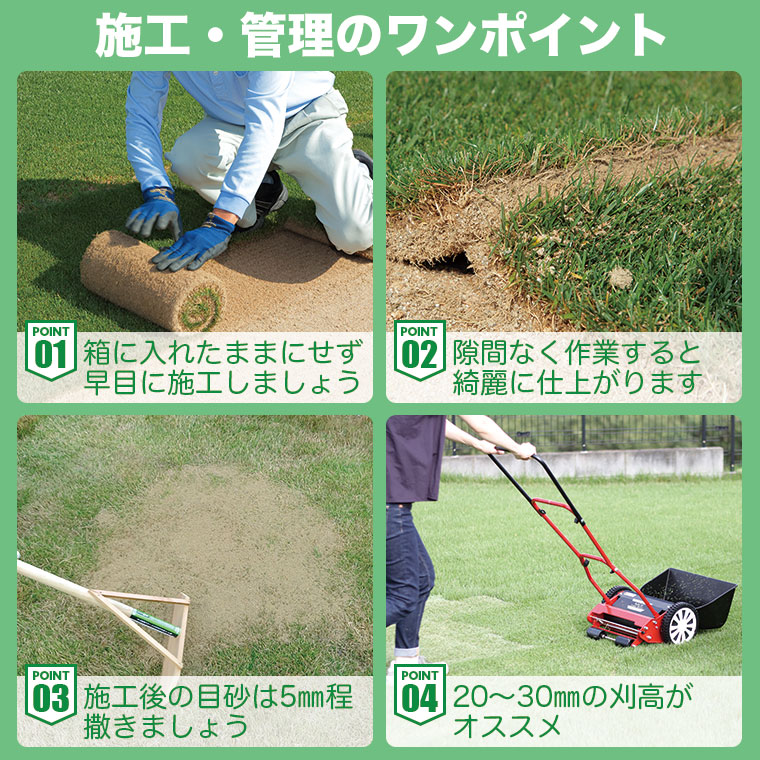 芝生 天然芝 野芝(ノシバ) ロール巻 (芝生 通販) 関連画像5
